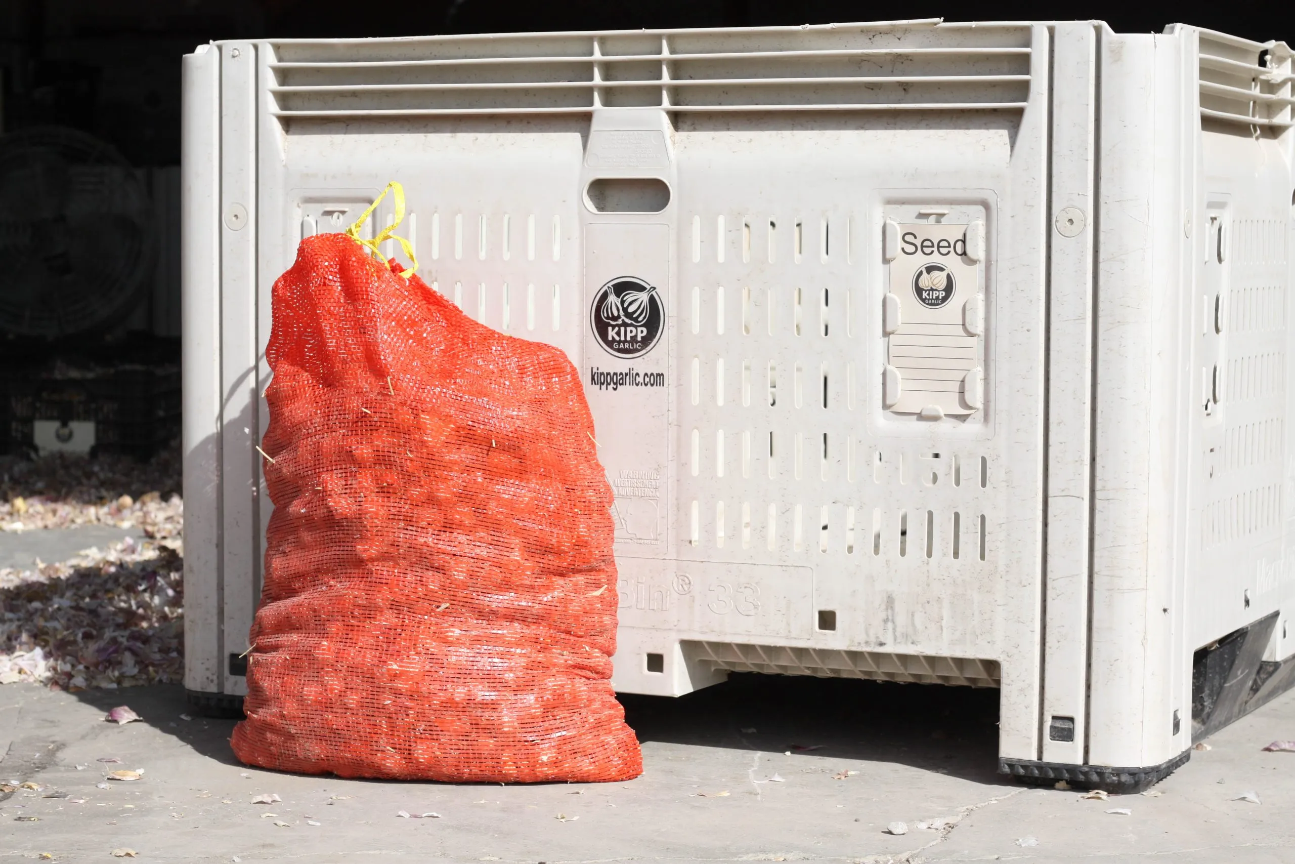 A red mesh sack of garlic leaning against a large white bulk bin